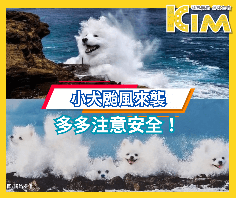 【10月5日颱風「小犬」停班停課公告】